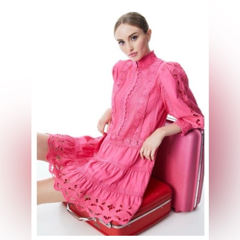 Alice + Olivia Pink Lace Mini Dress